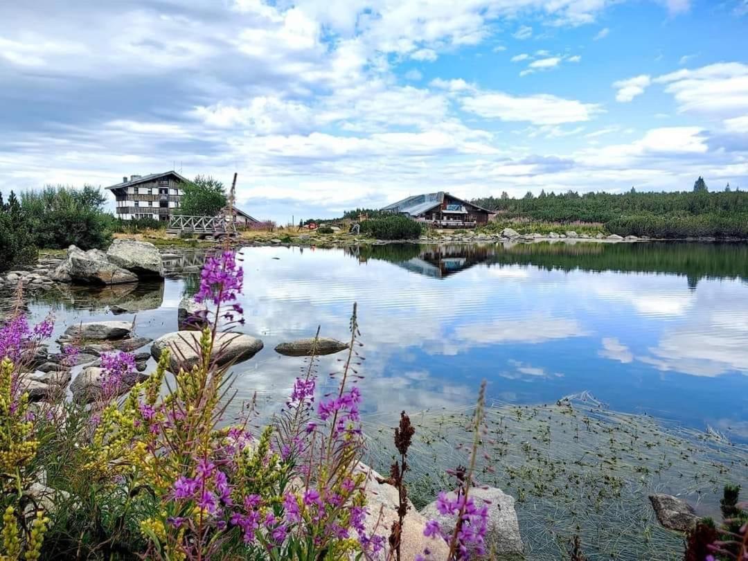 Alpine Lodge Bansko Apartments Exterior photo